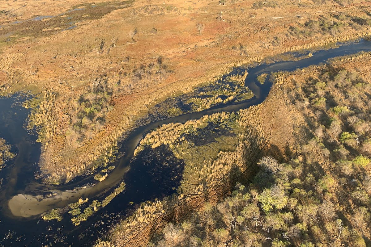 Siske Loggie: aerial view of the Okavango Delta