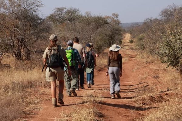 ACE volunteers in the bush: a monitoring walk in the heart of one of the greatest conservation areas on earth