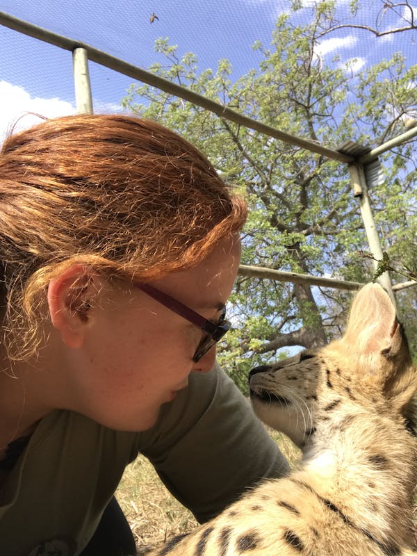 Megan Owens with a serval