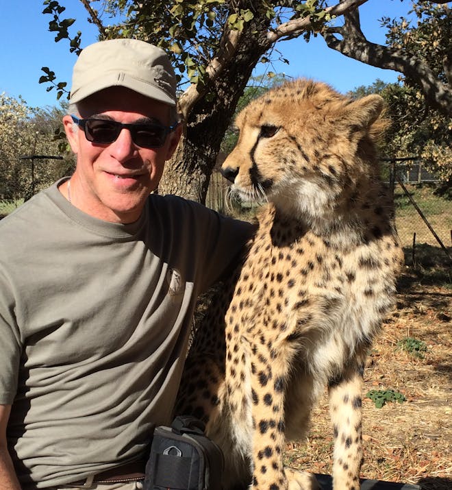 Randy and Alicia Sinukoff: relaxing with a cheetah