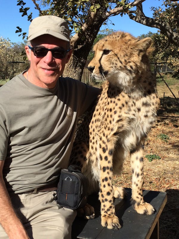 Randy and Alicia Sinukoff: relaxing with a cheetah