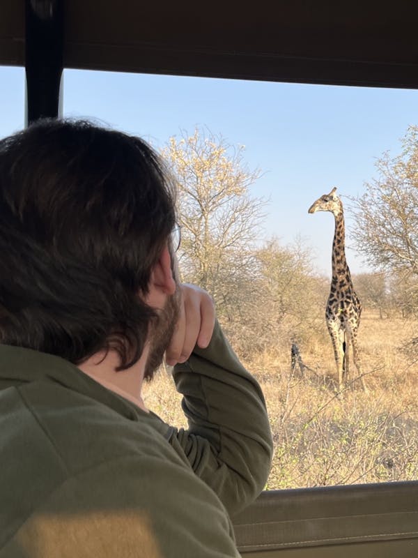 Liam Corcoran and Emily Munroe: viewing a giraffe from the vehicle