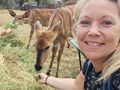Maartje van Vlerken: feeding antelope