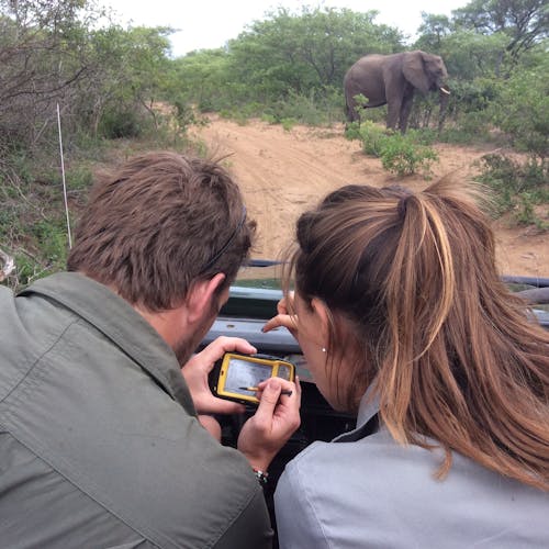 ACE volunteers sat in a jeep monitoring elephant population at Phinda