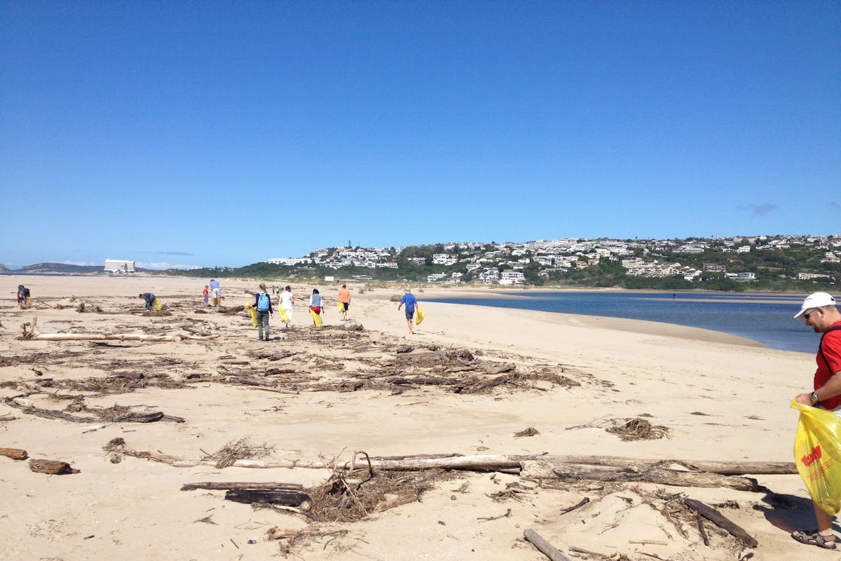 Group of students cleaning up the beach