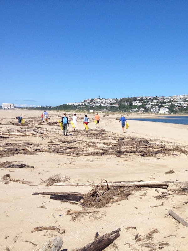 Group of students cleaning up the beach
