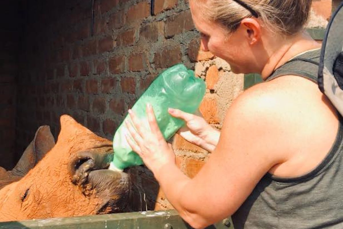 Stephanie Wallace: bottle feeding a rhino