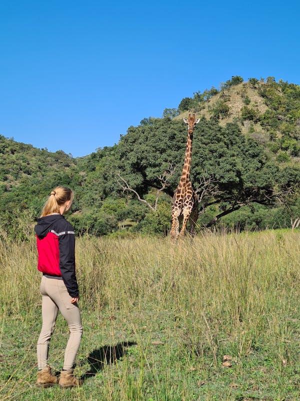 Mira van Duin: ACE volunteer viewing giraffe in the background