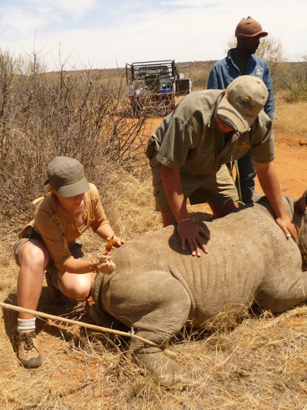 A group of ACE school students monitoring a rhino in the field