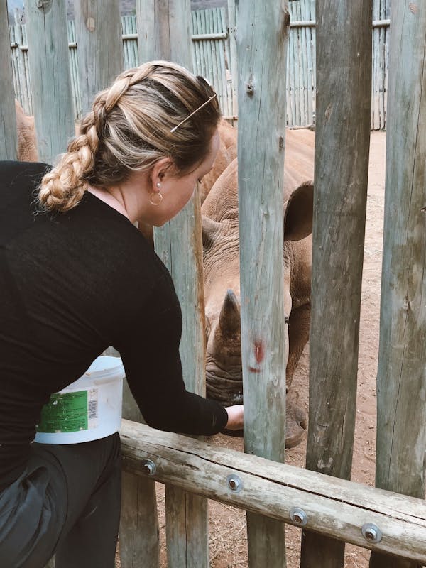 Maisie Kane: feeding a baby rhino