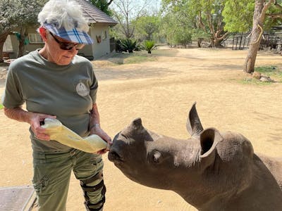 Frances Watson: bottle feeding a baby rhino