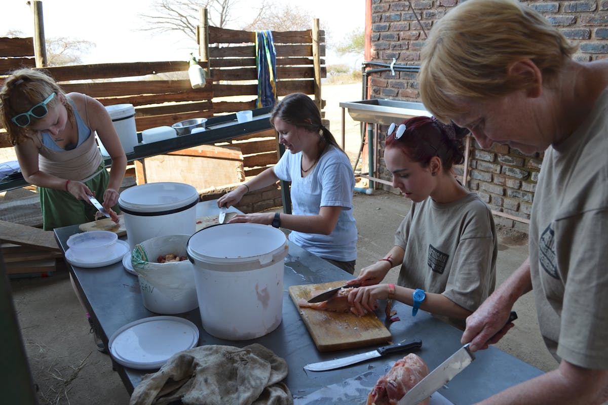 ACE volunteers preparing food for the rhinos in the rehabilitation centre