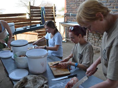 ACE volunteers preparing food for the rhinos in the rehabilitation centre