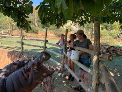 Emma Ruggles: feeding the hippos