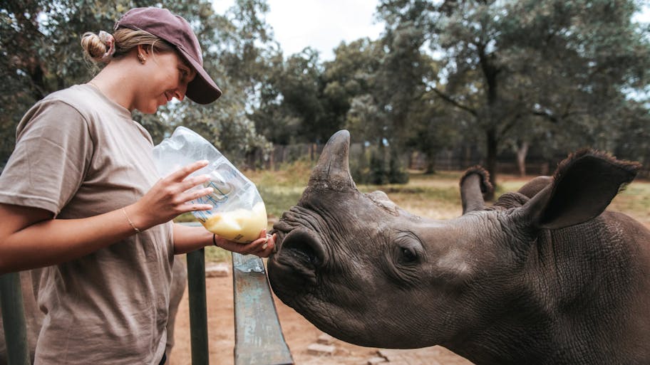 ACE volunteer bottle feeding a rhino calf, close up, The Rhino Orphanage