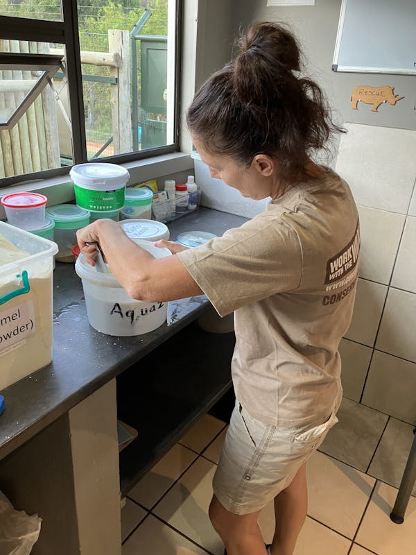 ACE volunteer preparing items for the rehabilitated rhinos