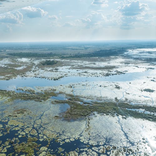 Wayne Grieveson: aerial view of the Okavango Delta