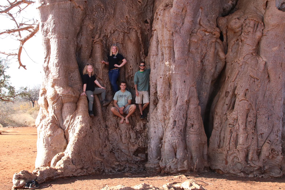 Jack Miller with friends posing for a photo in a huge baobab tree