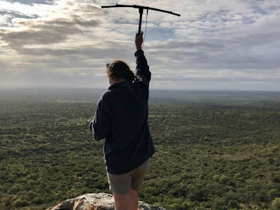 Katherine Prindle: telemetry in Phinda Private Game Reserve
