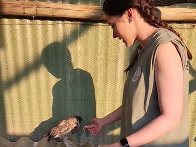 A female student feeds an owl