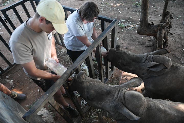 ACE volunteers bottle feed baby rhinos