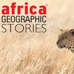 Africa Geographic Stories: The 7 Best Places To See Leopards In Africa