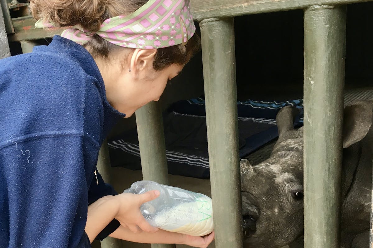 An ACE student feeds a rhino calf at Golola