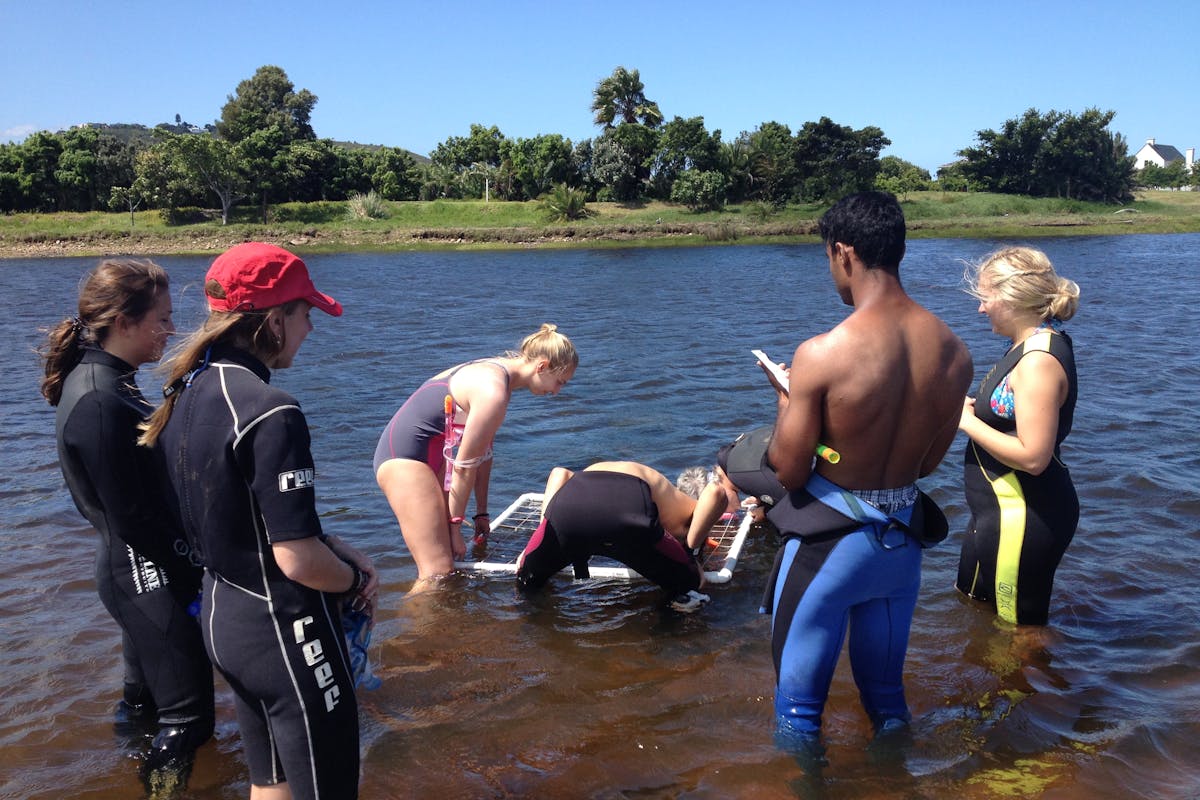 Group of students in the water monitoring seahorses