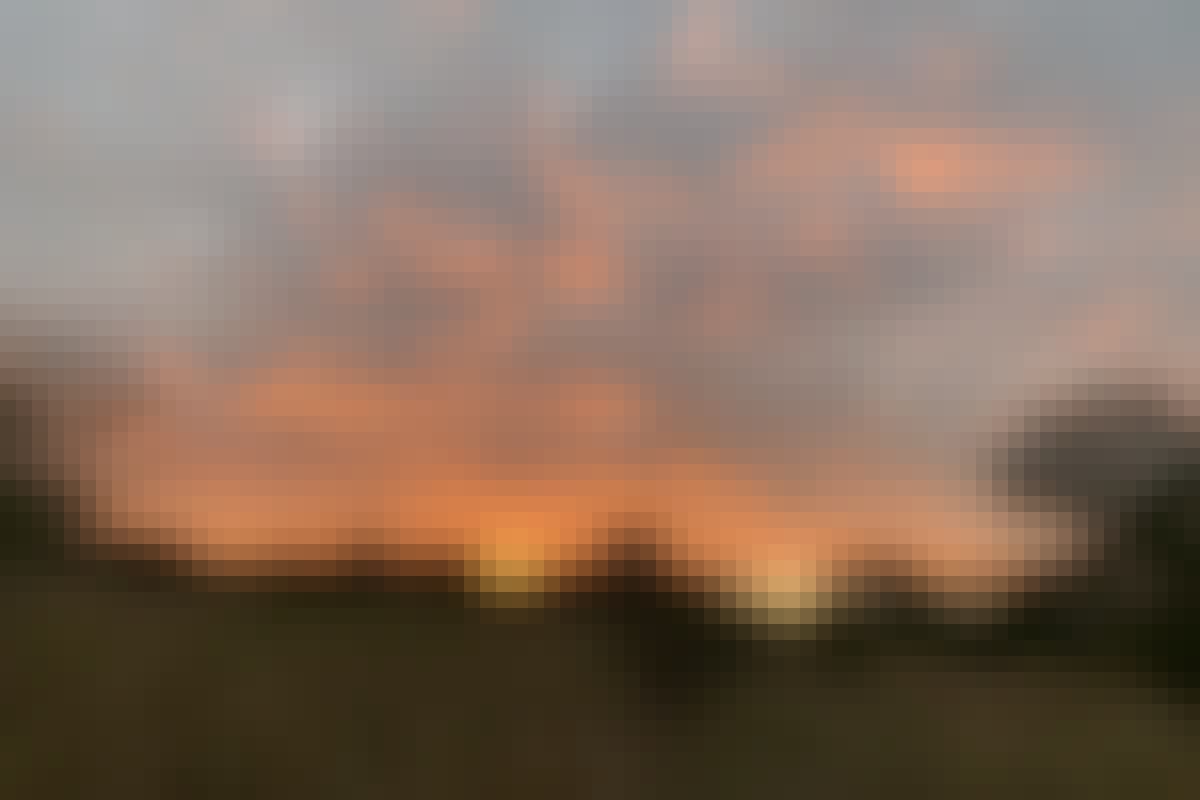 Siske Loggie: sunset