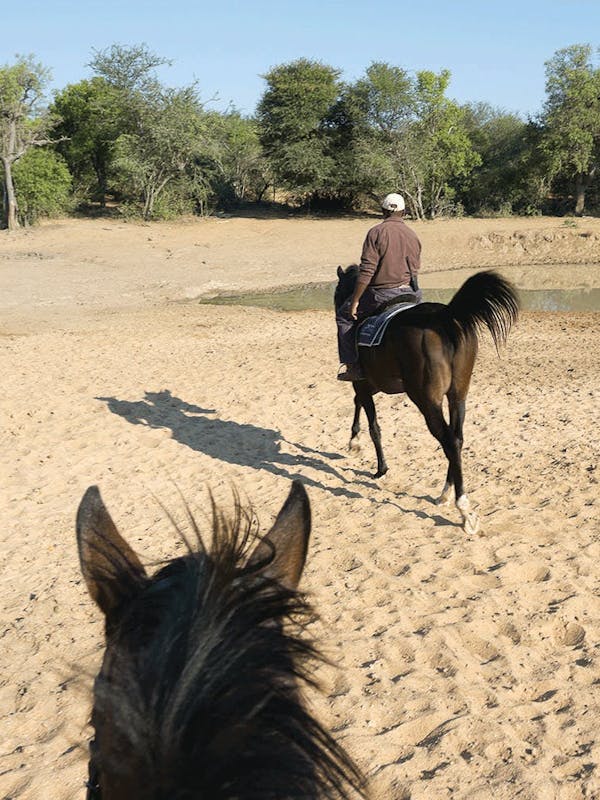 View from the back of a horse on the Hanchi Horseback Expeerience