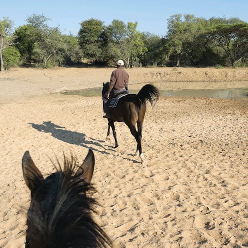 View from the back of a horse on the Hanchi Horseback Expeerience