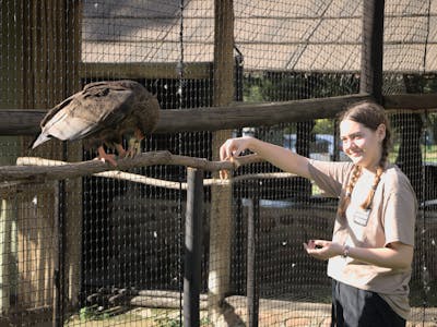 Student feeding a bird at Moholoholo Rehabilitation Centre