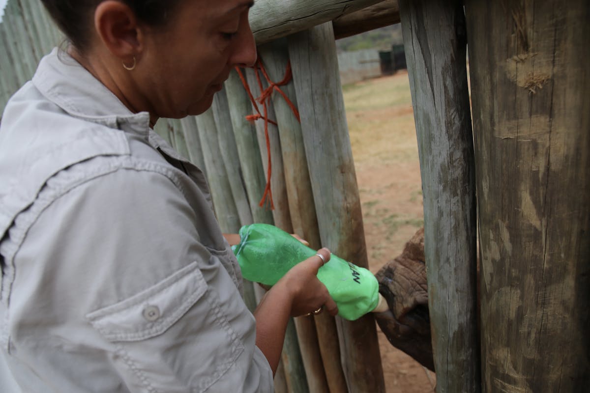 Martin and Julie While: Julie bottle feeding a baby rhino at Care for Wild