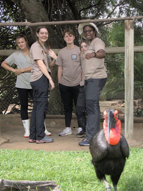 Group of students looking and viewing at a bird at Moholoholo Rehabilitation Centre
