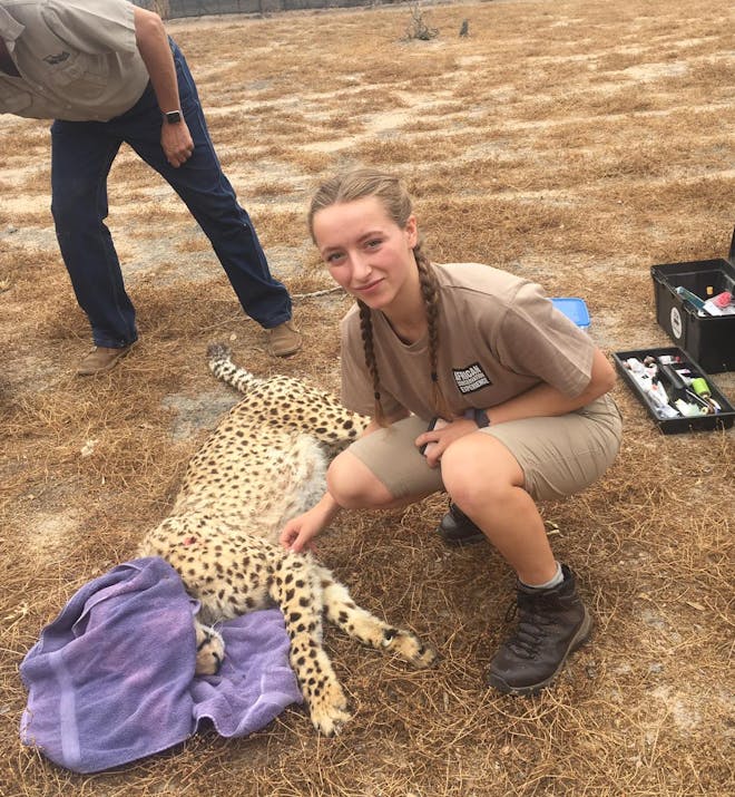 Emily Guinane: posing with sedated cheetah