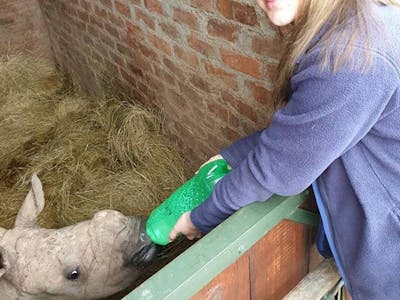 Leigh Haywood with a young rhino