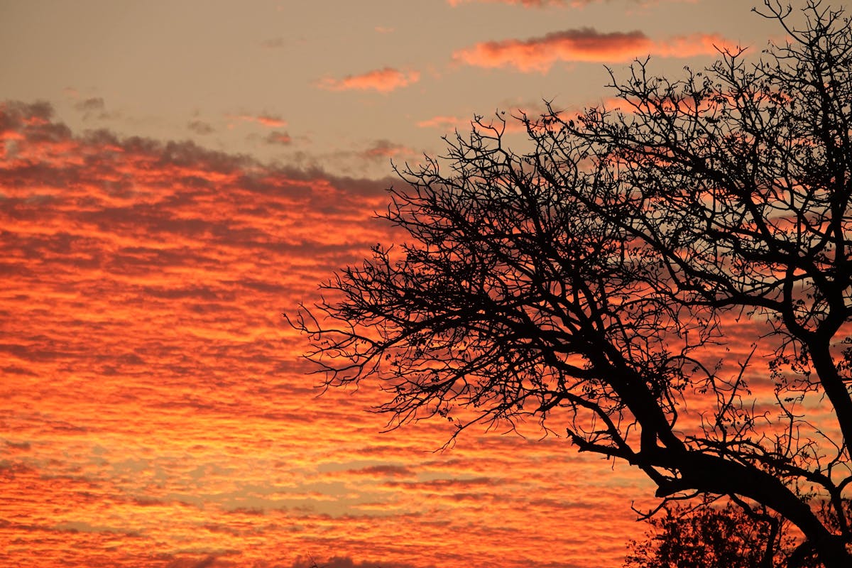Sunset in the Kruger