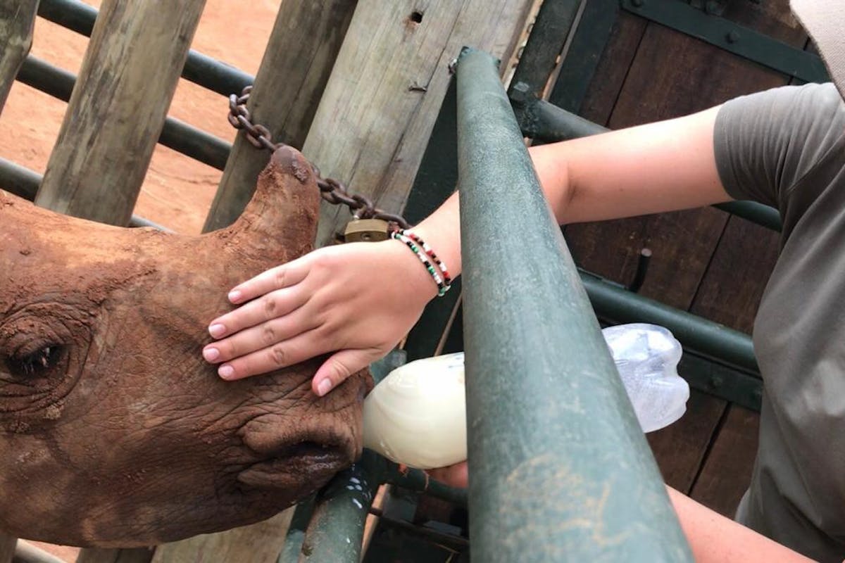 Emma Ruggles: bottle feeding a rhino