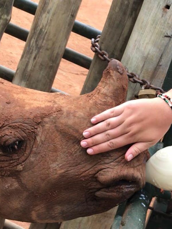 Emma Ruggles: bottle feeding a rhino