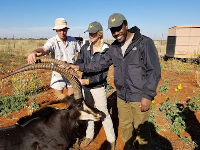 Darrius Upshaw: posing with a sedated antelope
