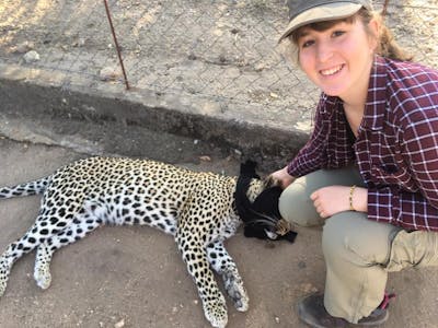 Keavy Garland: posing with sedated cheetah