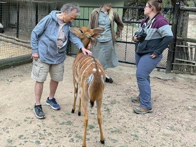 Jeanne Gray: A female ACE volunteer looks down at a nyala