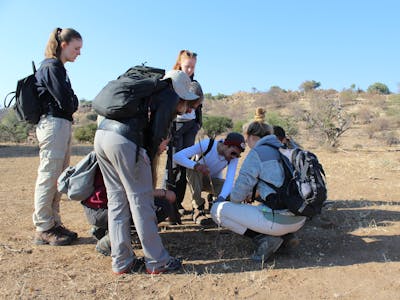 A group of students learning how to study tracks