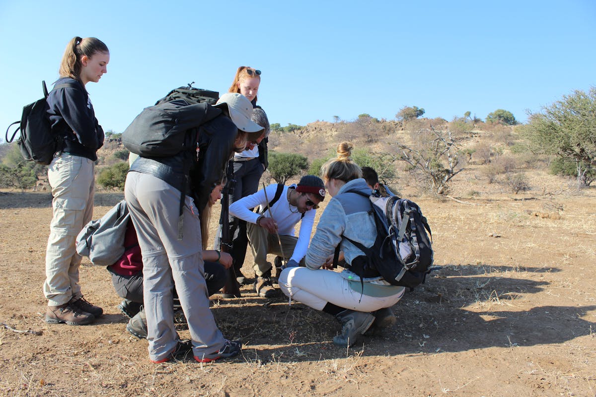 A group of students learning how to study tracks