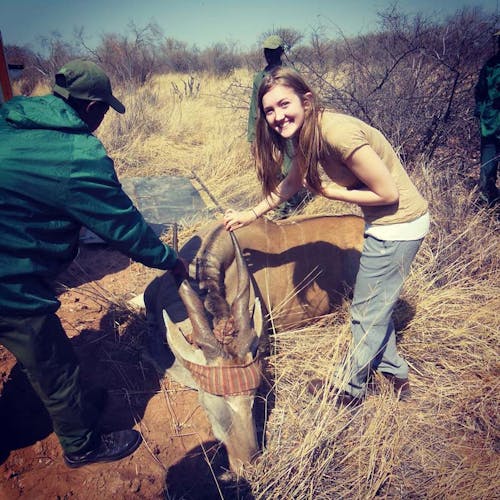 Rosie Bancroft: posing with a sedated antelope