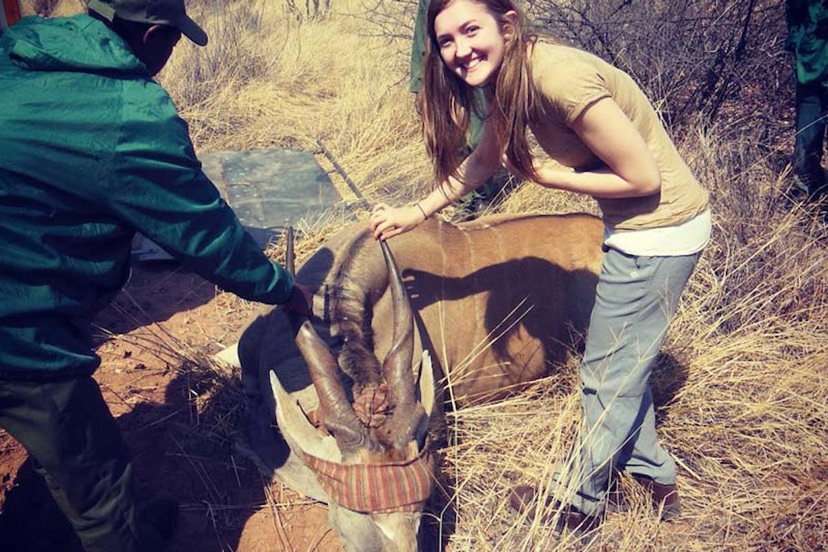 Rosie Bancroft: posing with a sedated antelope