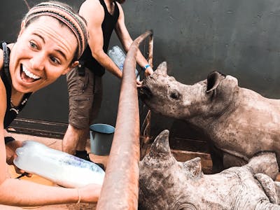 ACE volunteers feeding Rhino at Golola