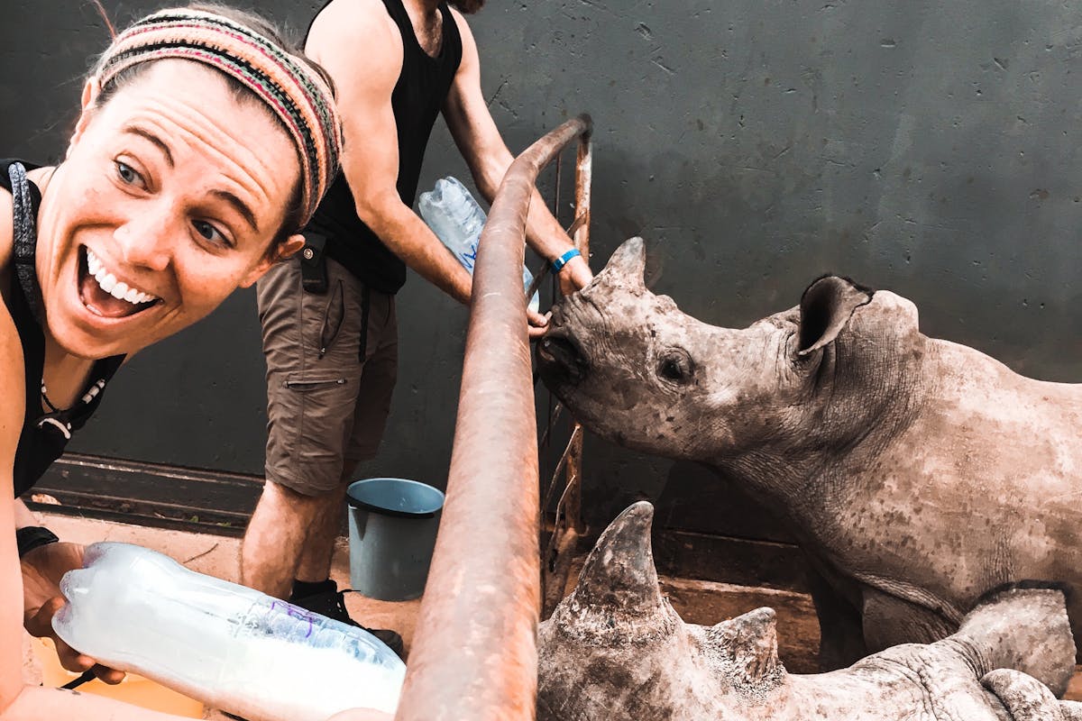 ACE volunteers feeding Rhino at Golola