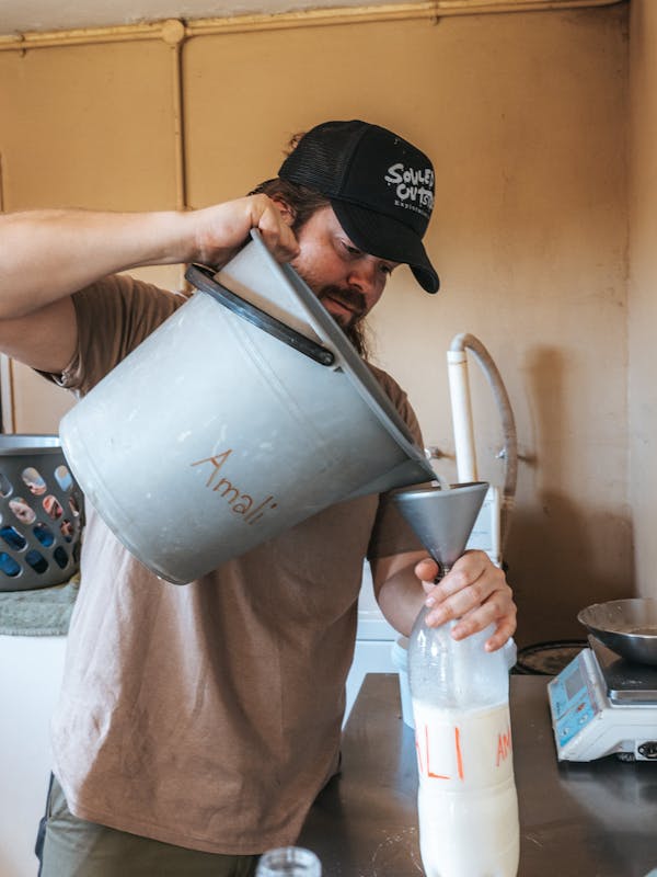 ACE volunteer preparing milk bottle for rhinos, The Rhino Orphanage