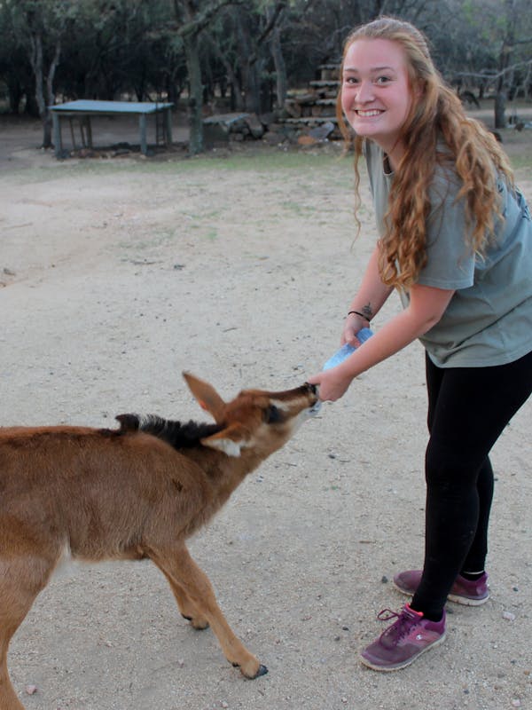 Student feeding an antelope